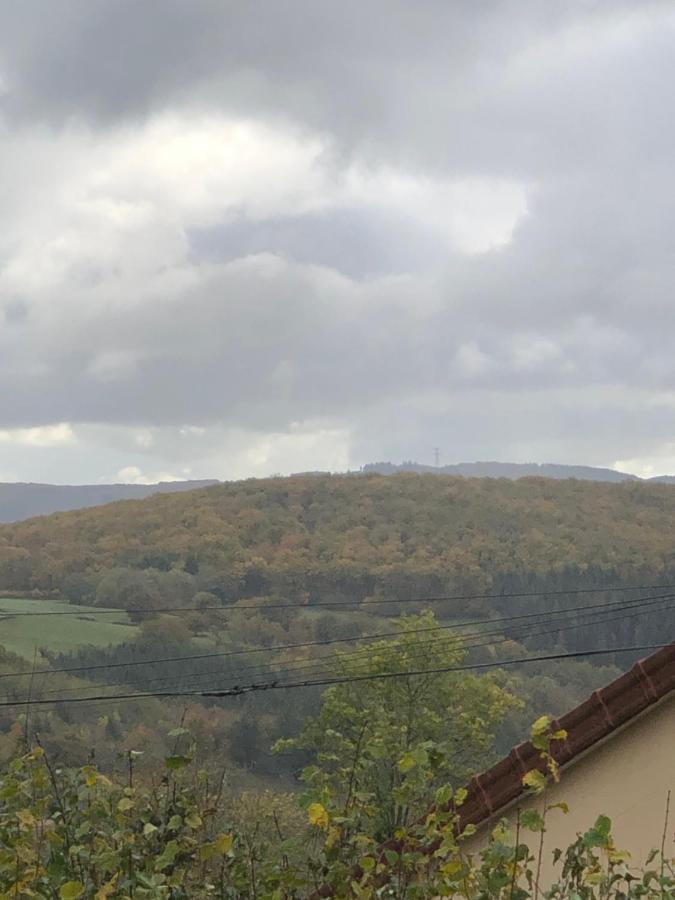 Ferme Fleurie Bed & Breakfast Bergesserin Екстериор снимка