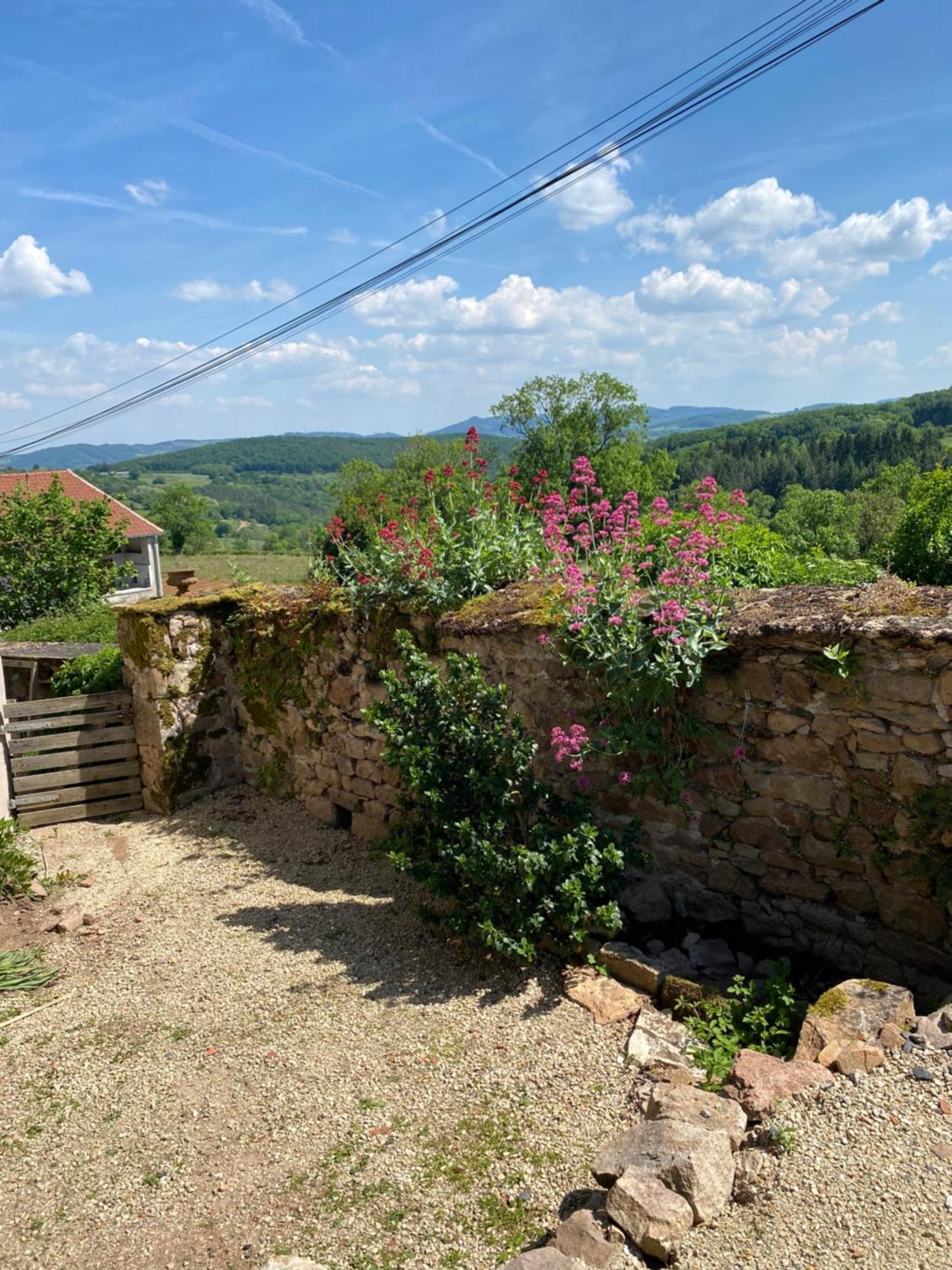 Ferme Fleurie Bed & Breakfast Bergesserin Екстериор снимка