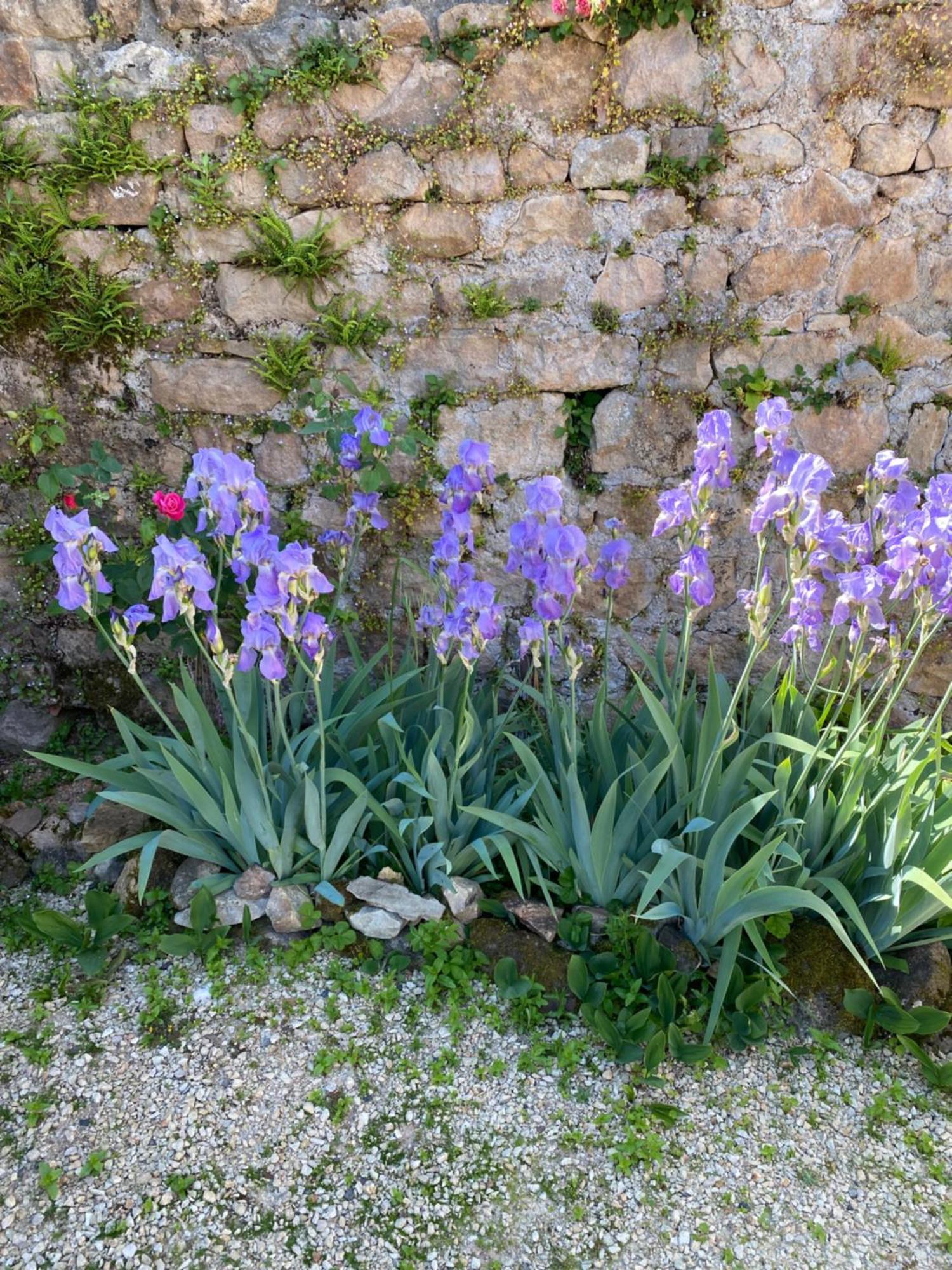 Ferme Fleurie Bed & Breakfast Bergesserin Екстериор снимка